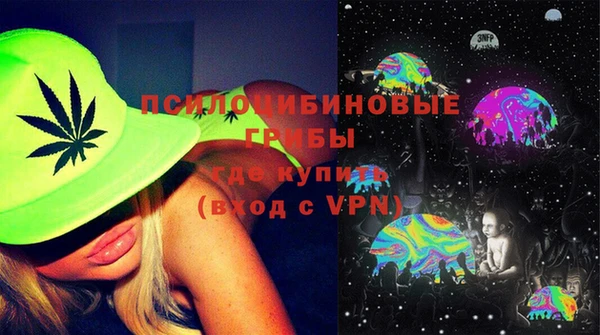 дживик Гусь-Хрустальный