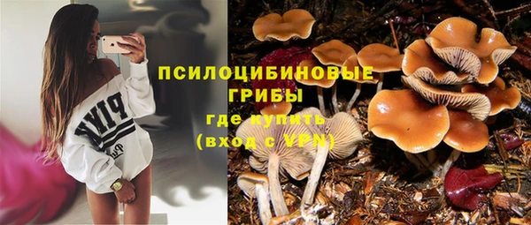 PSILOCYBIN Гусиноозёрск