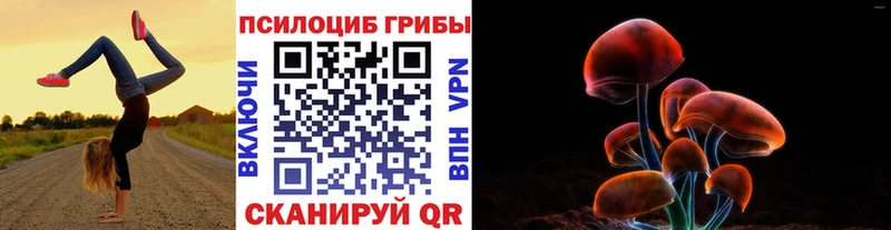 Галлюциногенные грибы MAGIC MUSHROOMS  наркота  Алагир 